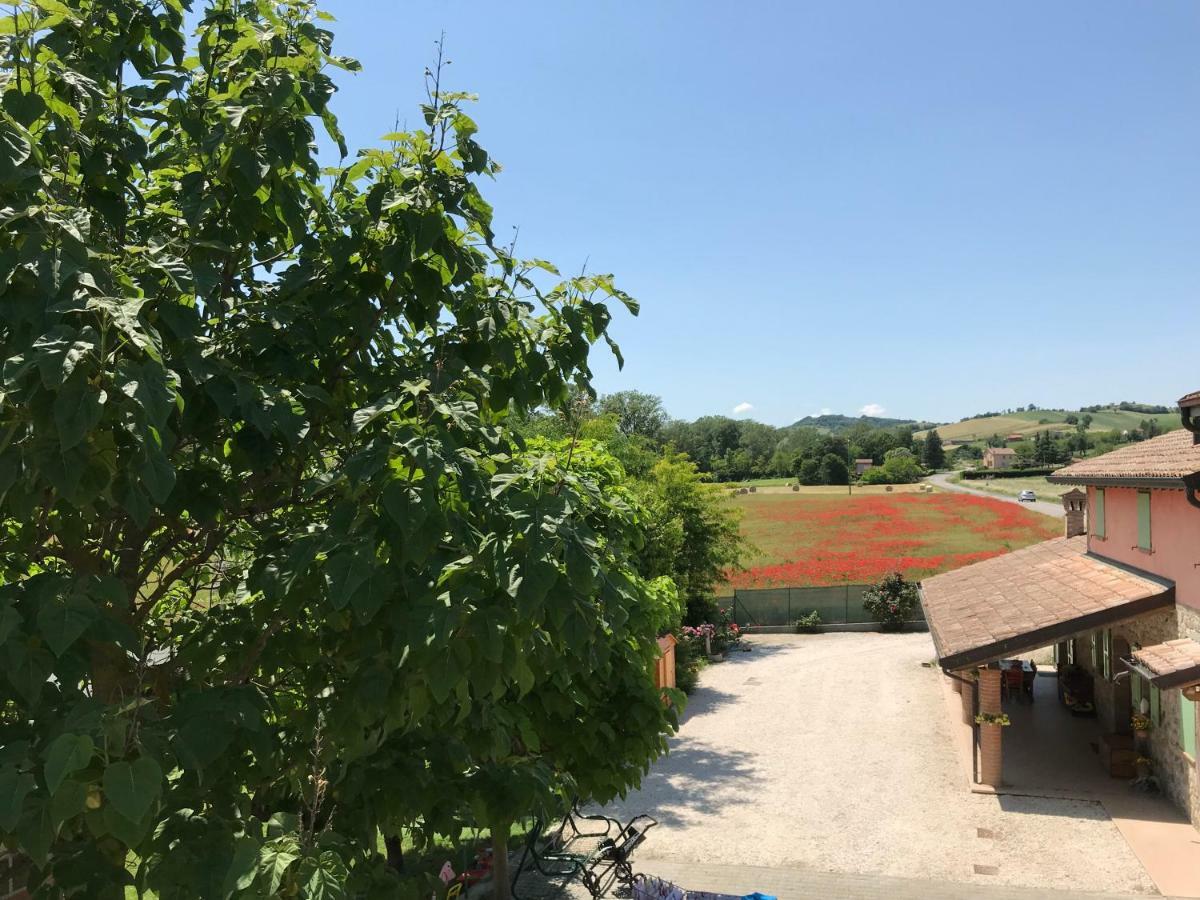 Tra I Campi Di Papaveri Medesano Exteriér fotografie